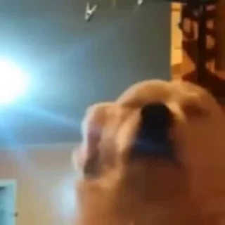 😉
