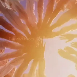 🌟