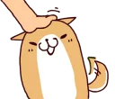 🐶