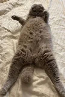 👋
