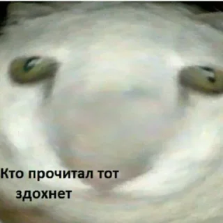 💀