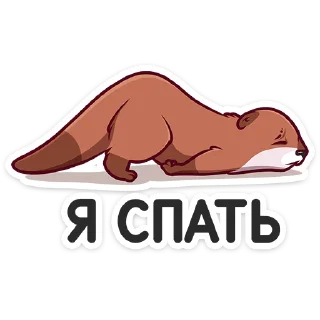 😴