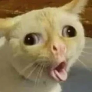 😷