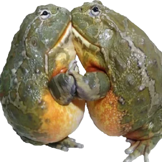 💋