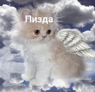 ☺️