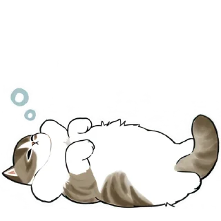 😴