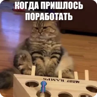 😣