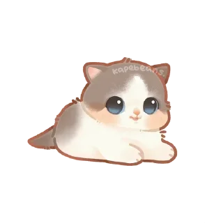 🌟