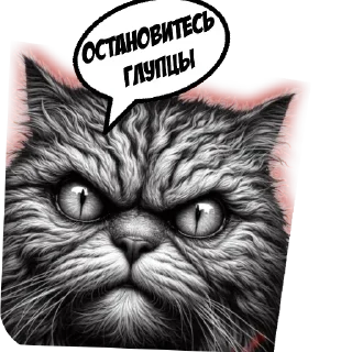 😾