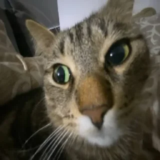 🙄