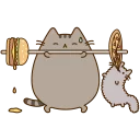 💪