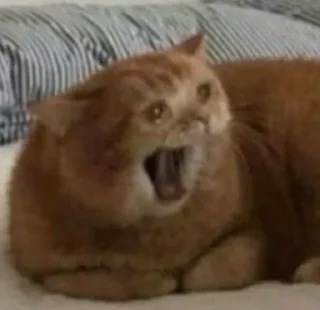 😦