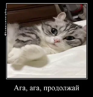 😉