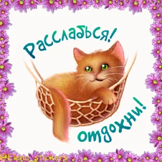 😸