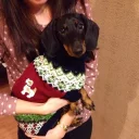 🐶