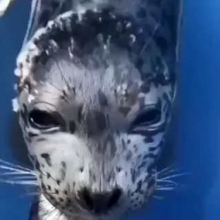 😁