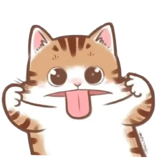 🐱
