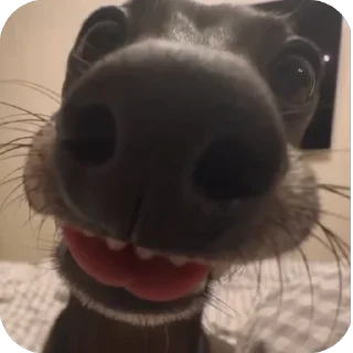 😋