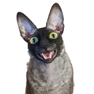 😃