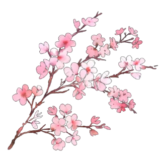 🌸