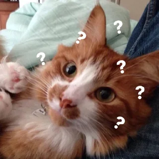 ❓
