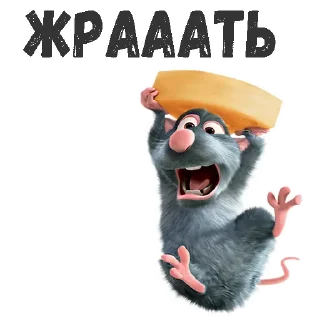 🧀