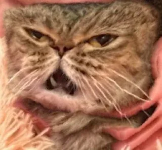 😫
