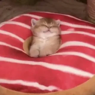 ☺️