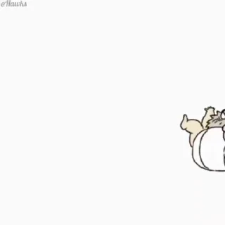 😂