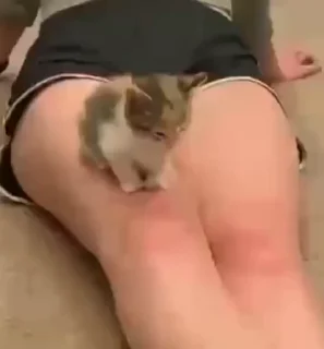 💤