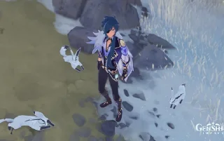 🦊