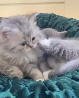 🤛