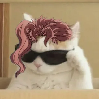 😎