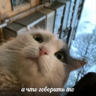 🤨