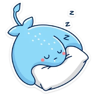💤