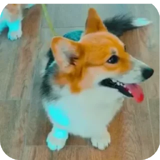 👍
