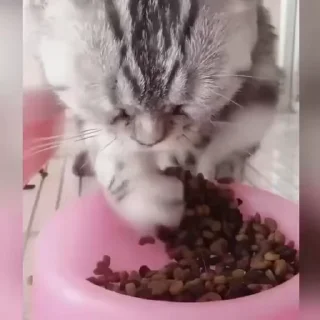 😋