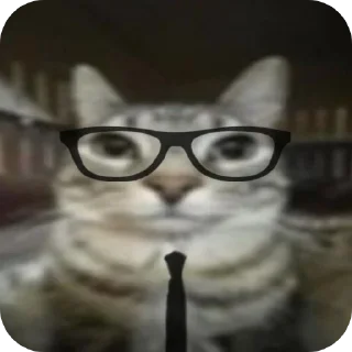 👓