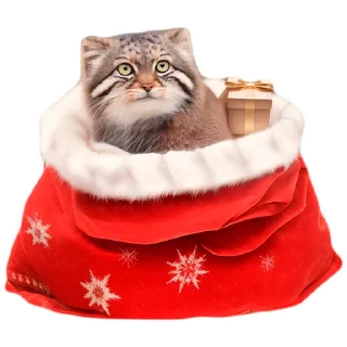 🎁