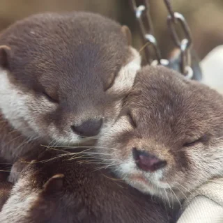 🥰