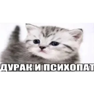 😈