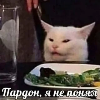 🤨