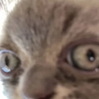 😲