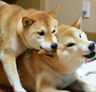 😋