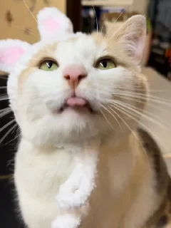 😛