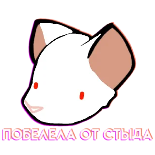 🐀