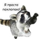 👏