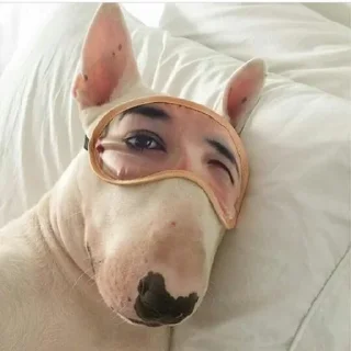 😴