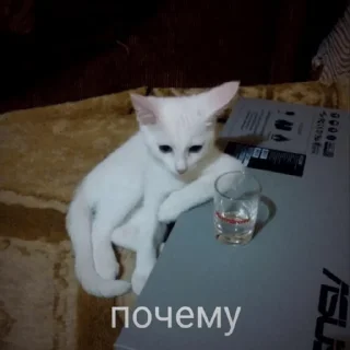 🧐