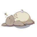 💤